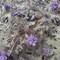 1 Yard Beaded 3D Floral Lace Fabric 51" Wide Embroidered Bridal, Quinceañera & Evening Dress Lace